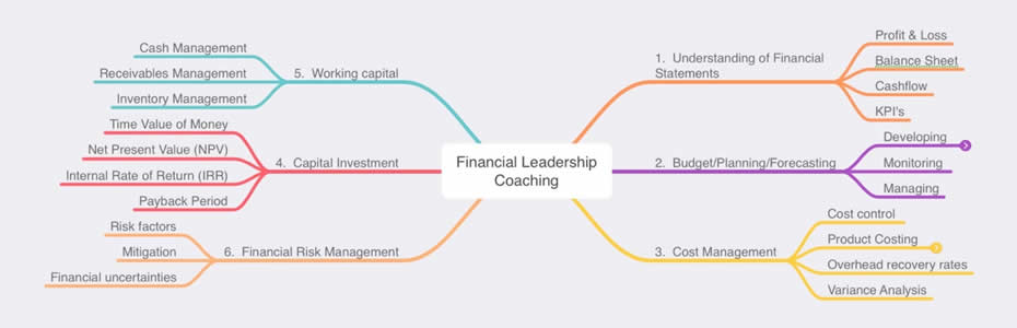 financial leadership coaching
